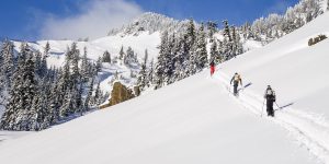 AIARE Avalanche Rescue Course