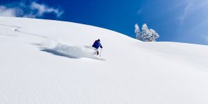 AIARE Avalanche Rescue Course