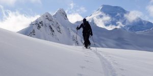 Backcountry Skiing Pro Course