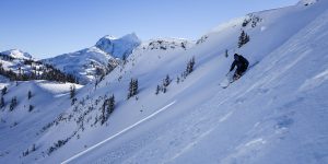 Backcountry Skiing Pro Course