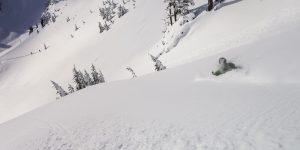 Backcountry Skiing Pro Course