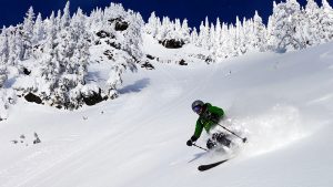 Backcountry Skiing Pro Course