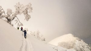 Japan Backcountry Skiing