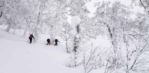 Japan Backcountry Skiing