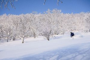 Japan Backcountry Skiing