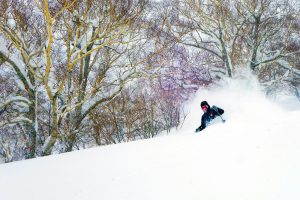 Baker Mountain Guides