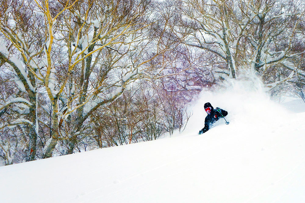 Baker Mountain Guides