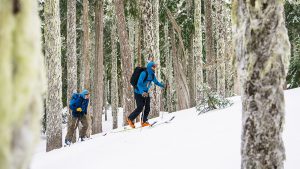 Baker Mountain Guides