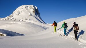 Ultimate Guide to Backcountry Skiing and Riding